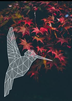 hummingbird autumn