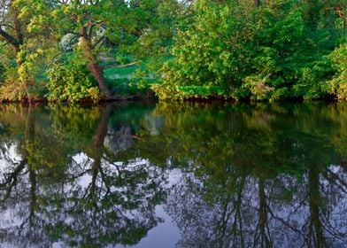 English Woodland