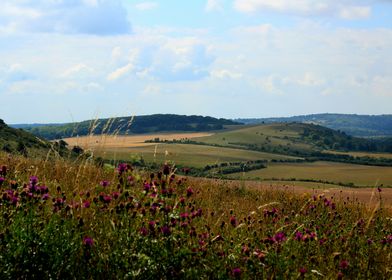 Over the Hills