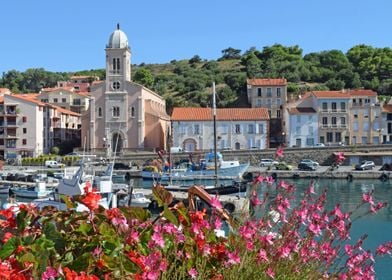 Port Vendres in bloom