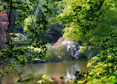 English Woodland