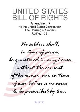 The Usa Bill Of Rights-preview-0