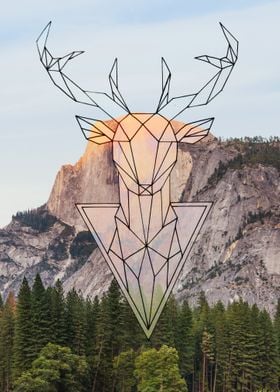 sunset deer