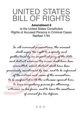 The Usa Bill Of Rights-preview-2