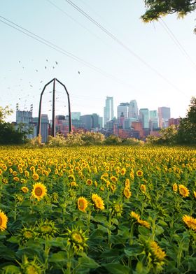 Minneapolis MN Skyline