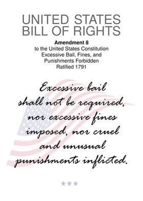 The Usa Bill Of Rights-preview-0