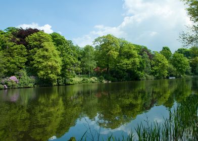 English Woodland