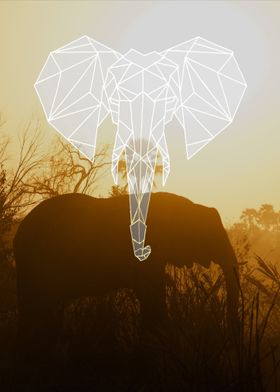 sunset elephant