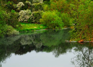 English Woodland