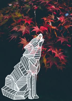 autumn wolf howling