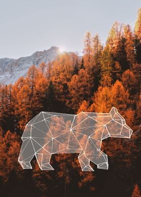 autumn bear