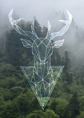 forest deer