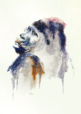 Silverback Gorilla Art