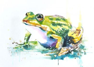 Green Frog