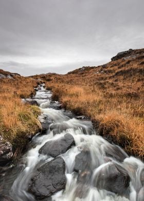 Mountain stream