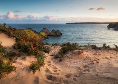 The sand dunes of Gower