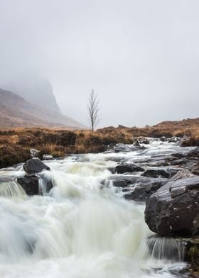 Foggy stream II