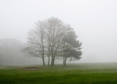 Foggy Landscape