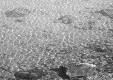 Water Ripples