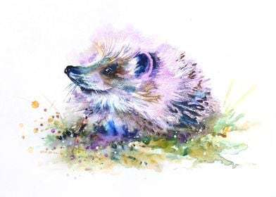 Cute Hedgehog