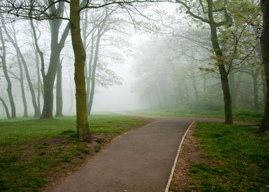 Foggy Landscape