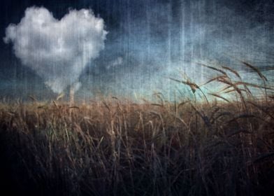 Heart cloud over field