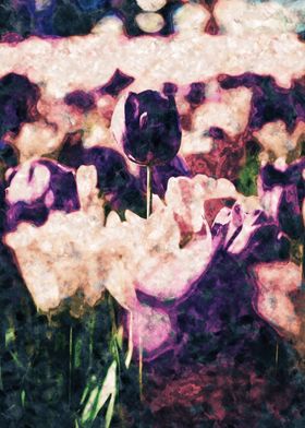 Tulipan Purple