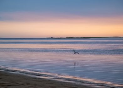 Purple and Blue Sunrise