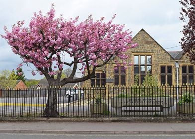 Village Hall in Groby