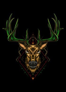 Buck Deer head ilustration