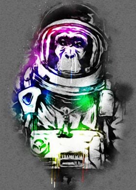 Color Space Monkey
