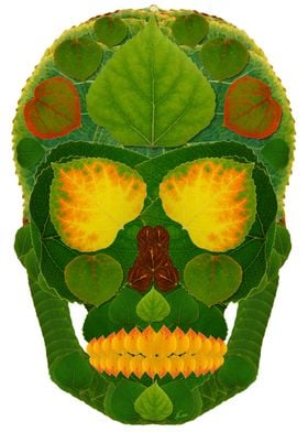 Aspen Leaf Skull 9