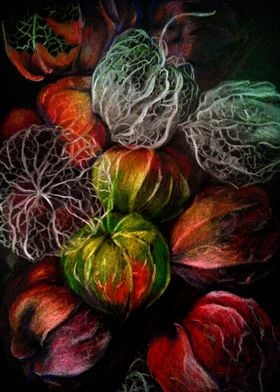 Physalis fruits