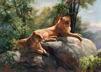 Two Lions In Love