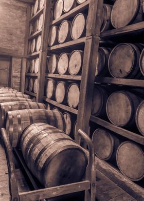 Oak barrels in rik house