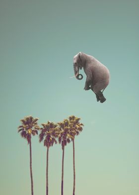 Flying elephant