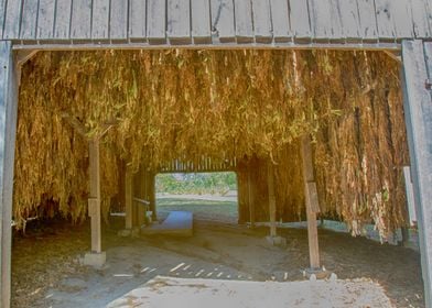 Tobacco barn