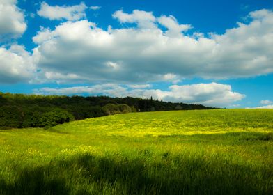 yellow blue and green