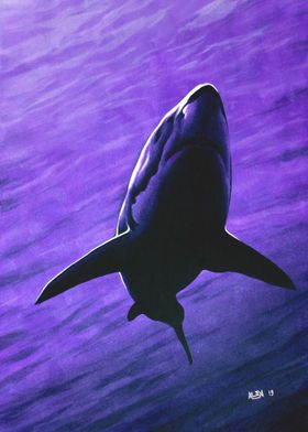 Raging Waters Purple-Shark