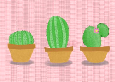 3 Little Cacti 