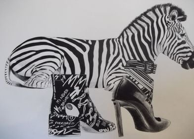 Zebra and shoes 