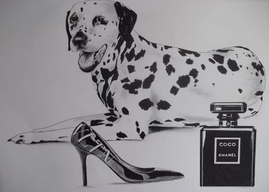 Dalmatian shoe and perfume