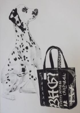 Dalmatian with bag