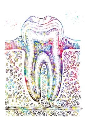 Tooth diagram