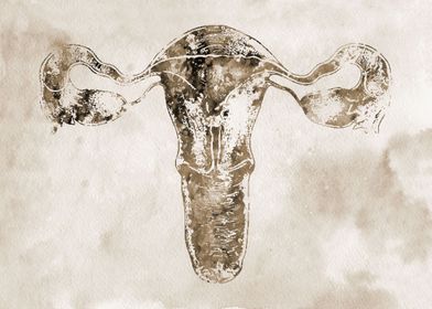 Female Reproductive System