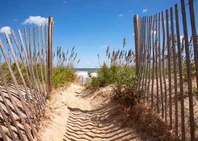 Sand dunes