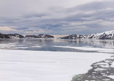 Whalers Bay Antarctica