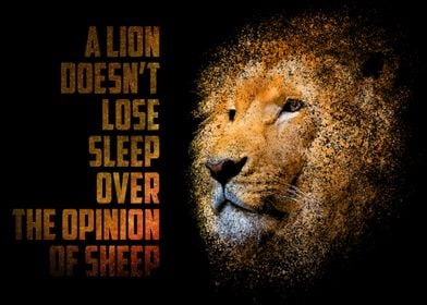 A Lion Does Not Lose Sleep