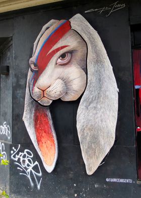 Street Art Buenos Aires 23