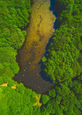 World From Above